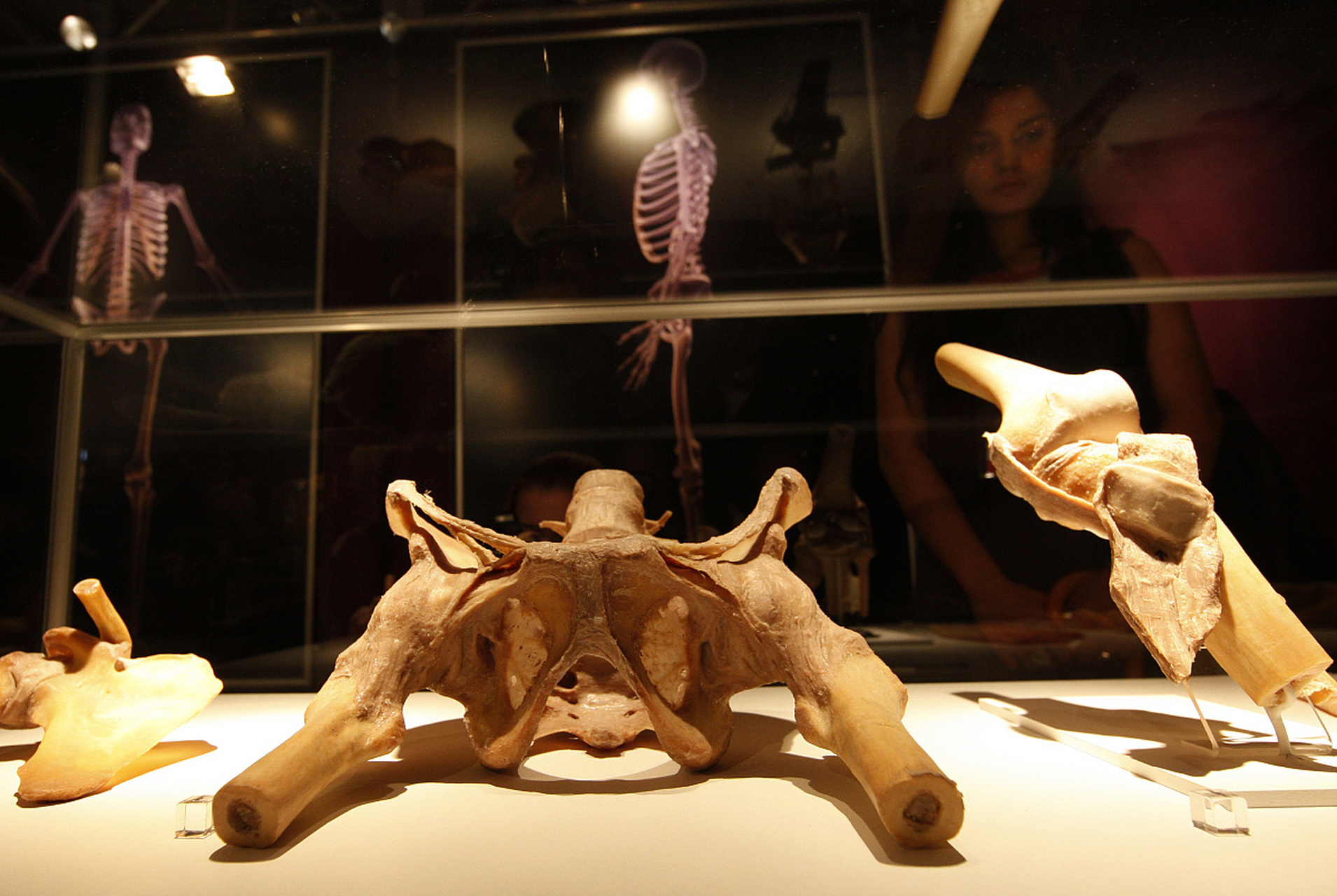 沸水煮遗体4小时,英国推出水葬,有人表示不可接受.