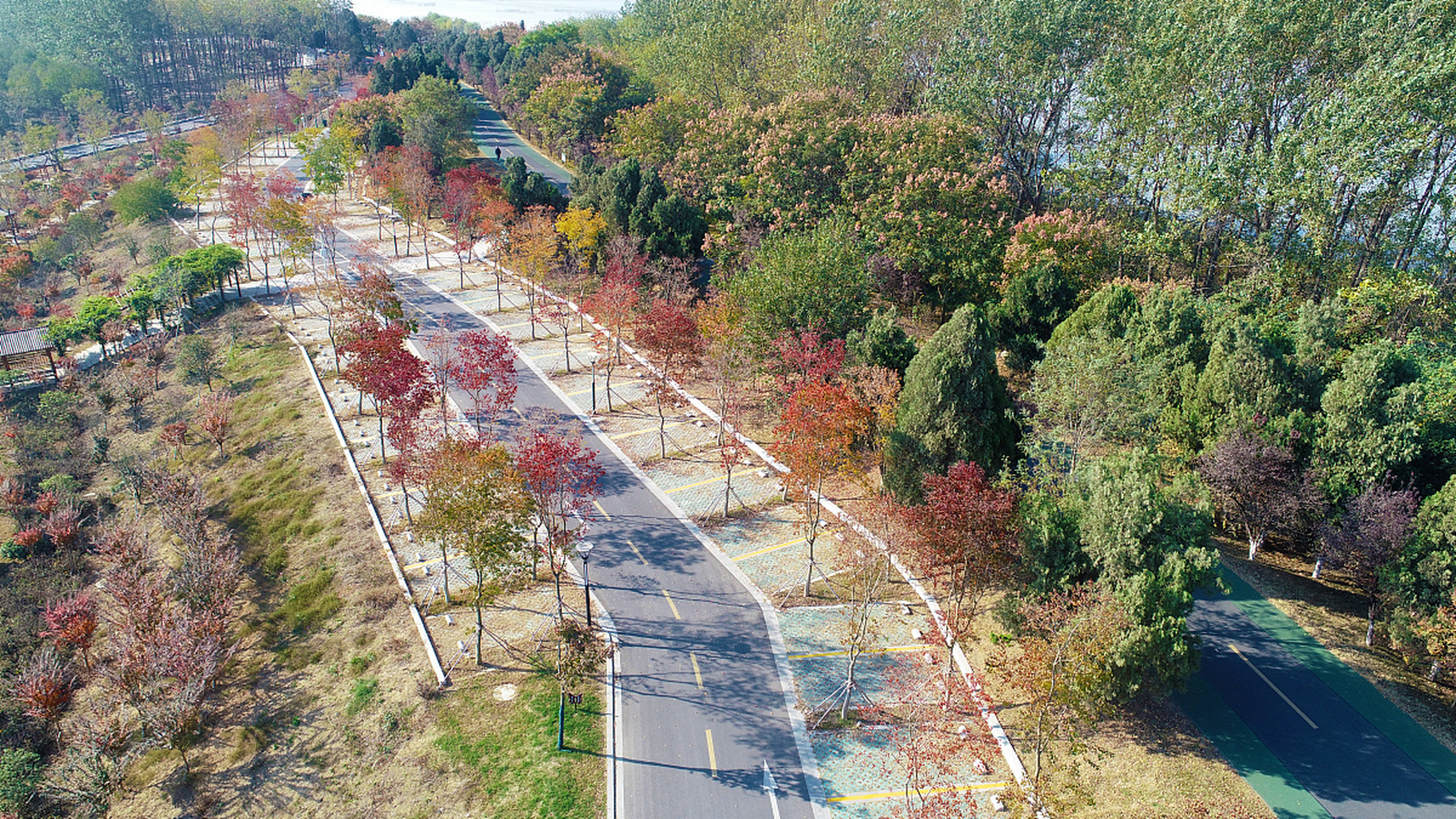 南川花山公园,简直是游玩的天堂!