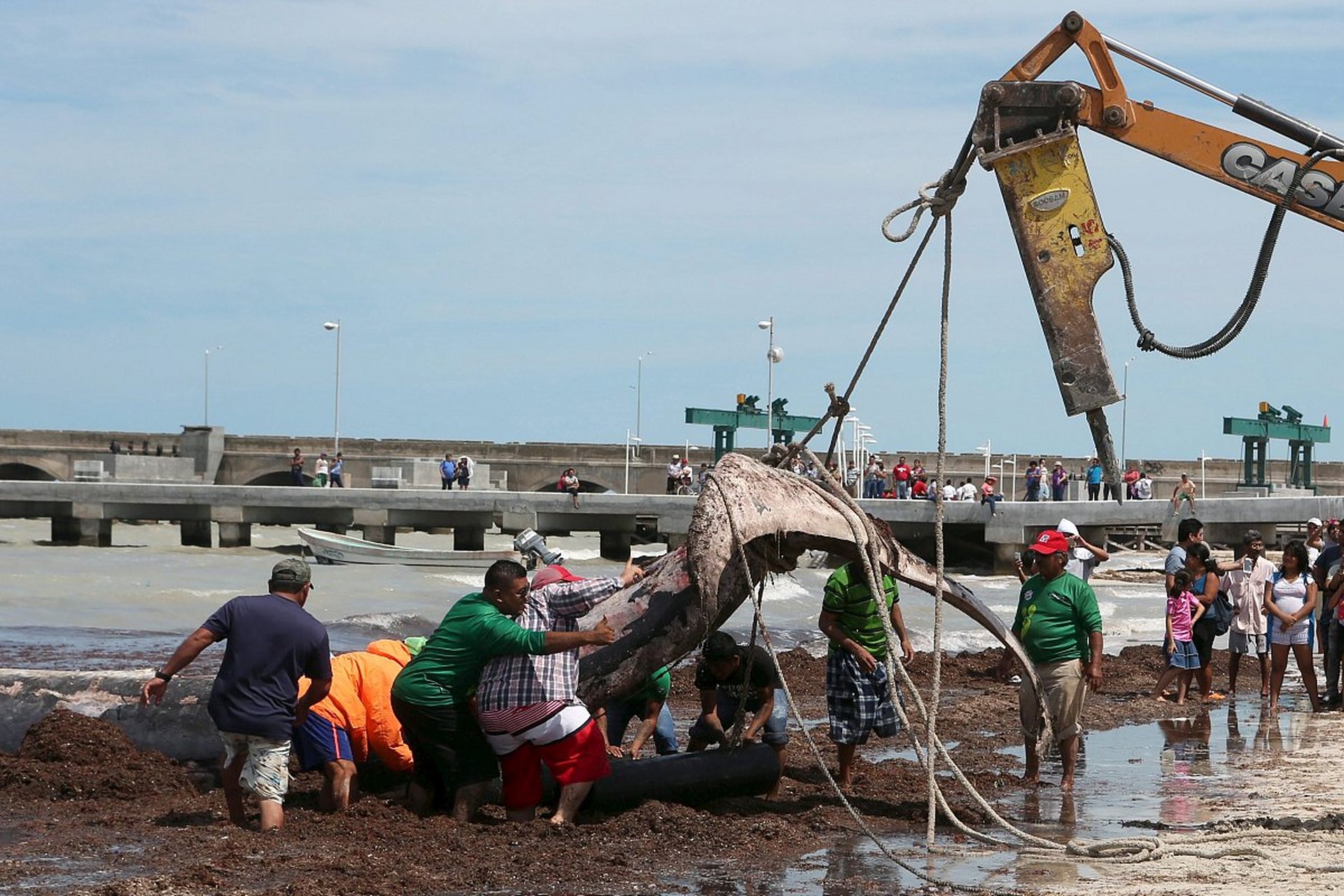 一起来看看2020中考加油励志说说口号100条精选大全,欢迎查阅!
