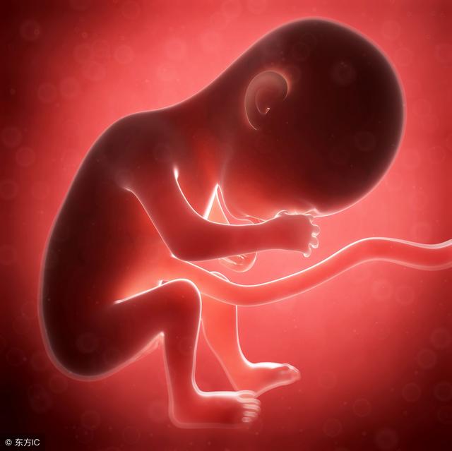 怀孕4个月胎儿有多大?发育成啥样了呢?孕妈妈觉得很可爱