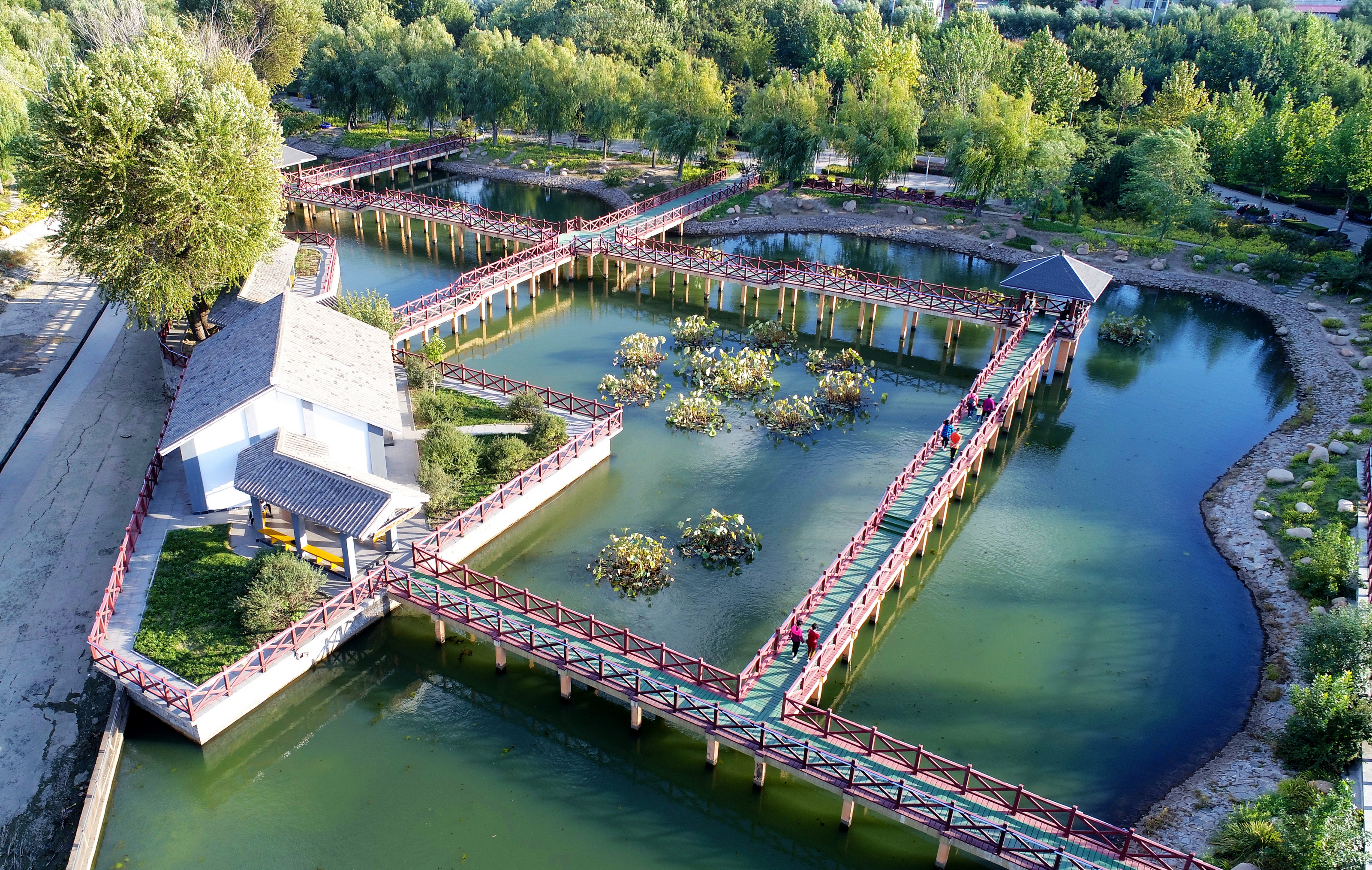 河北乐亭:废弃荒地变身生态文化公园(1)