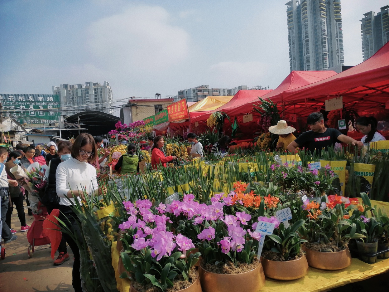 广州花木市场 