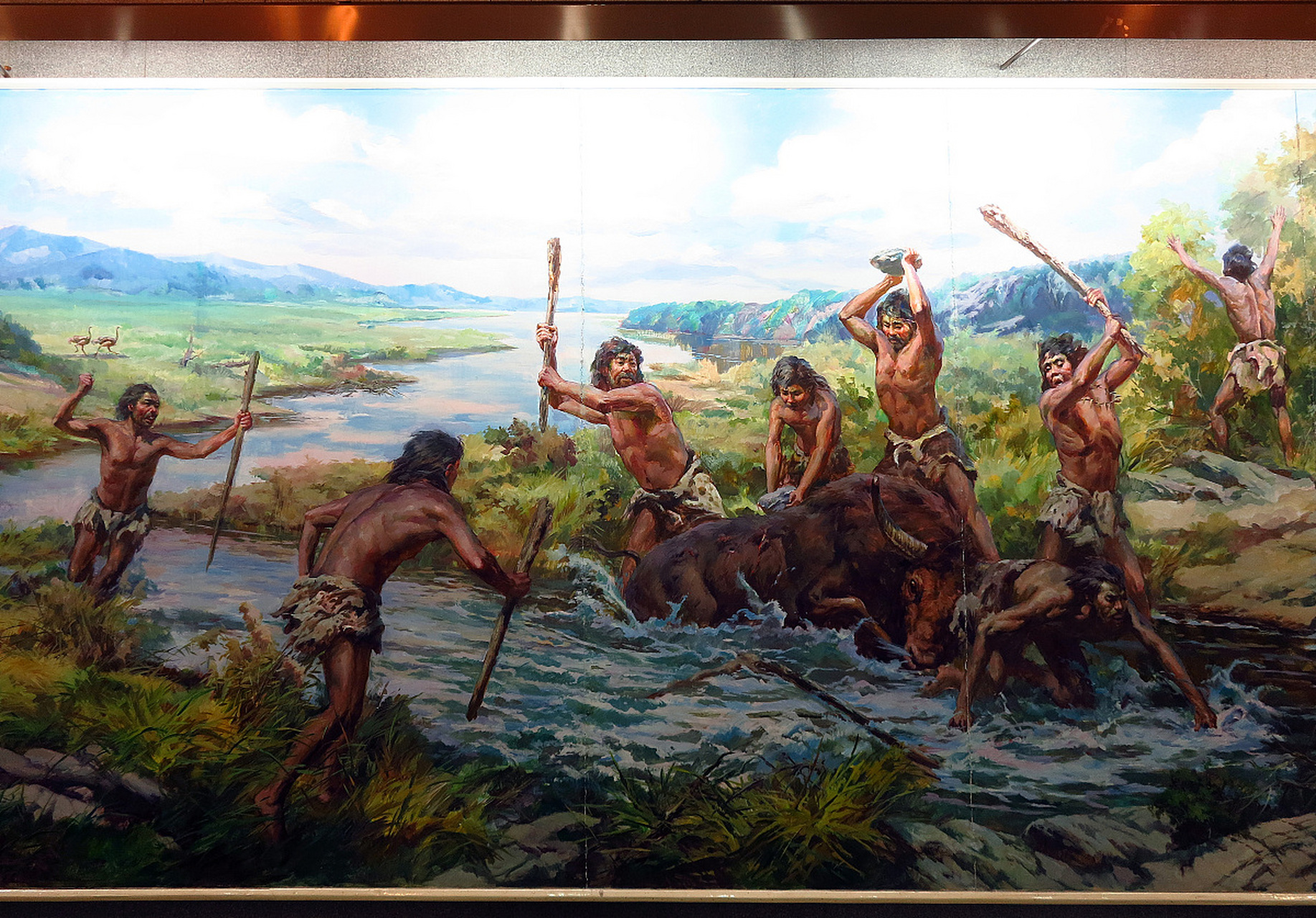 哪个国家拥有最完整的人类演化史?答案是中国.