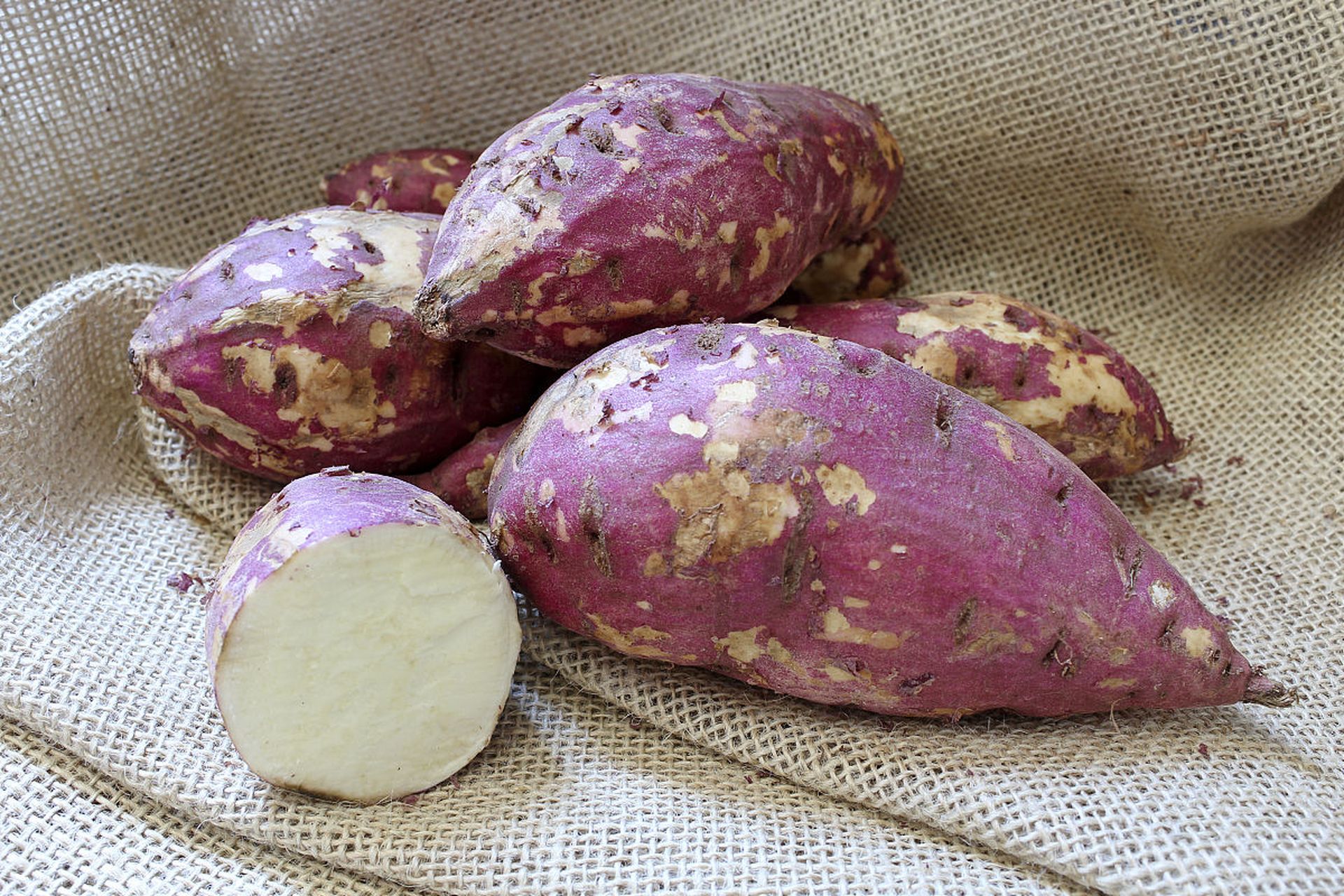 轻松收获健康农作物![原文:玛莎莉红薯品种介绍,种植.