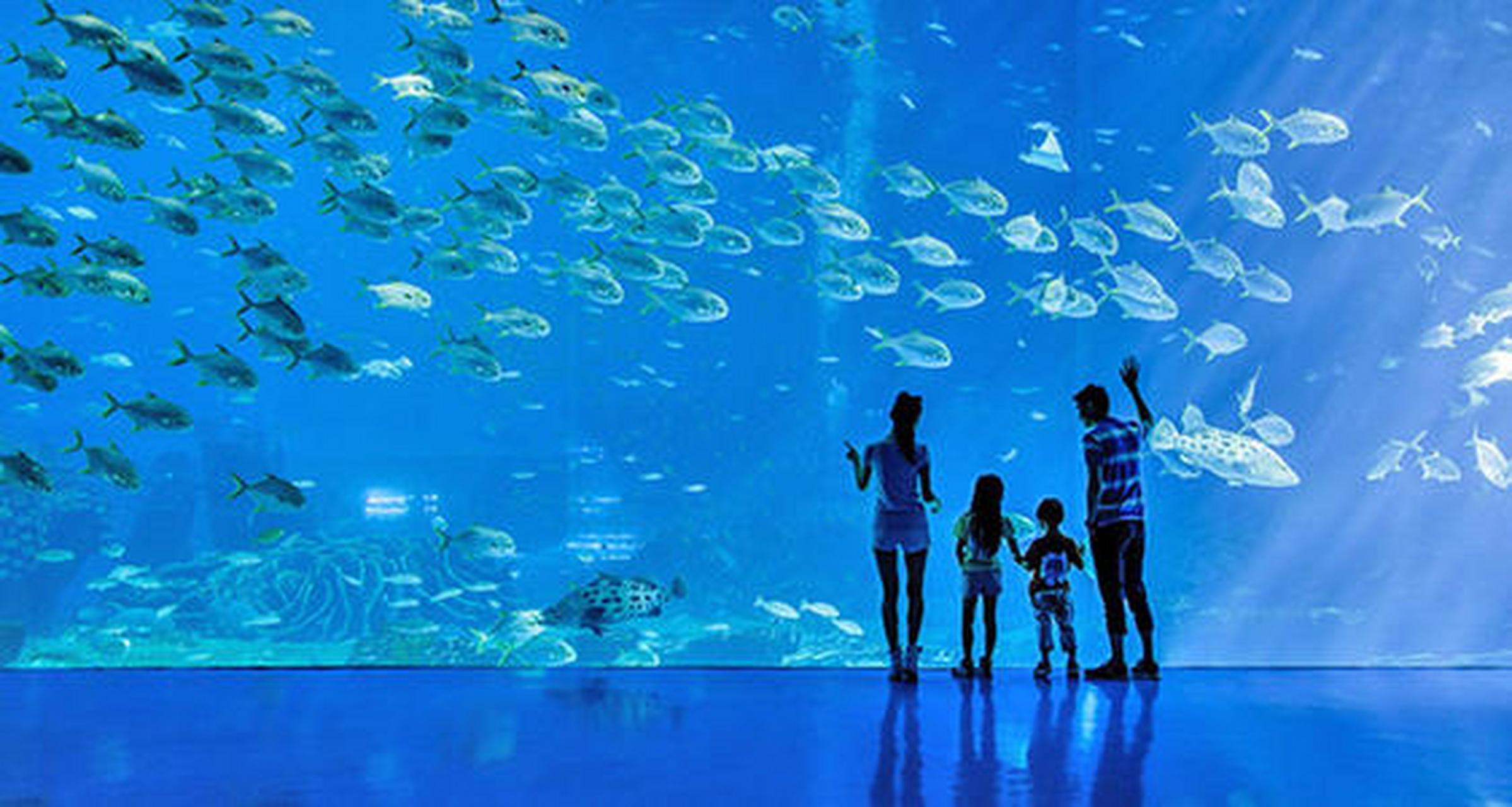 科普知识竞赛#【科普小知识】海洋中由于海水温度,盐度分布的不均匀