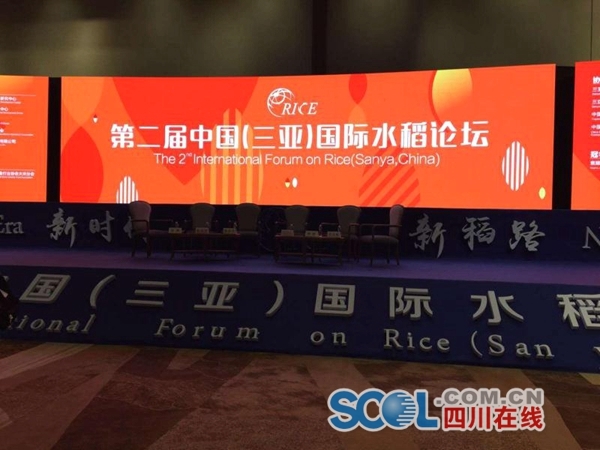 "四川造"超级稻"宜香优2115"获"最受喜爱的十大优质稻米品种"