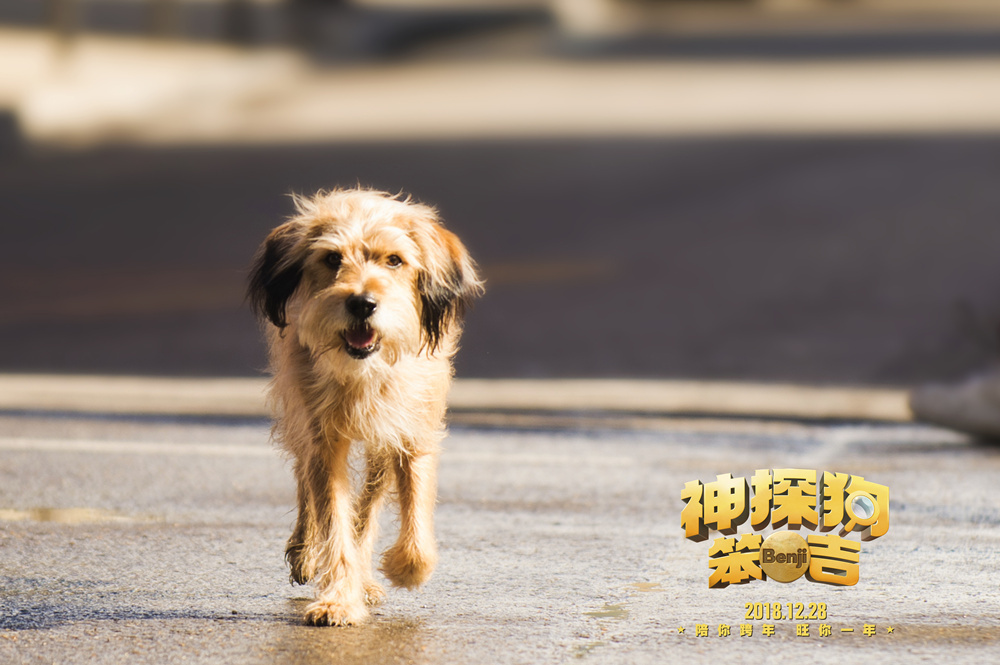 《神探狗笨吉》1228上映 神奇灵犬解锁今冬最强暖流