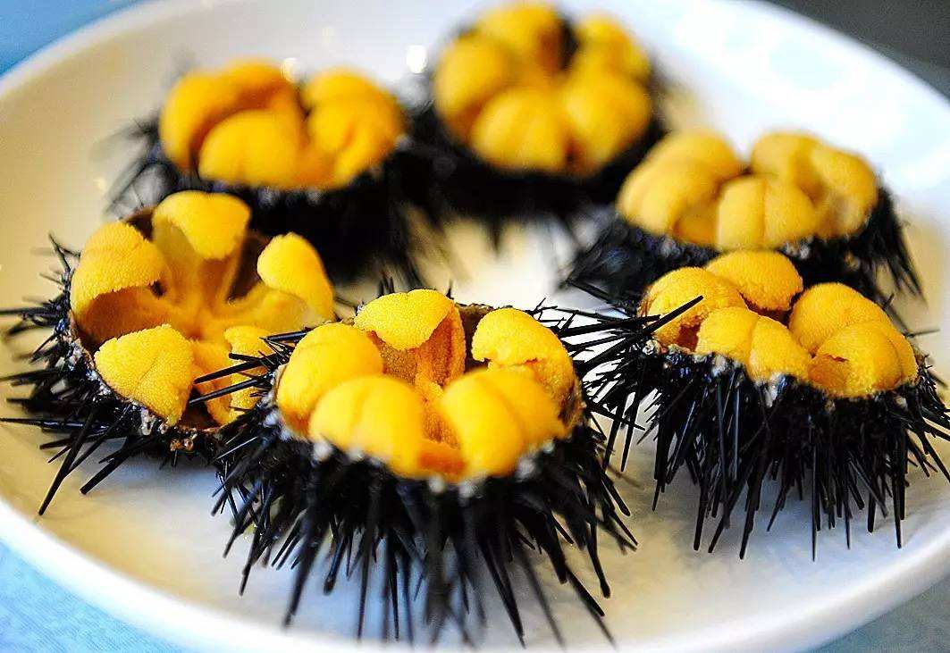 5种"最丑"海鲜,外表丑陋却味道好,全吃过的是真正的"吃货"