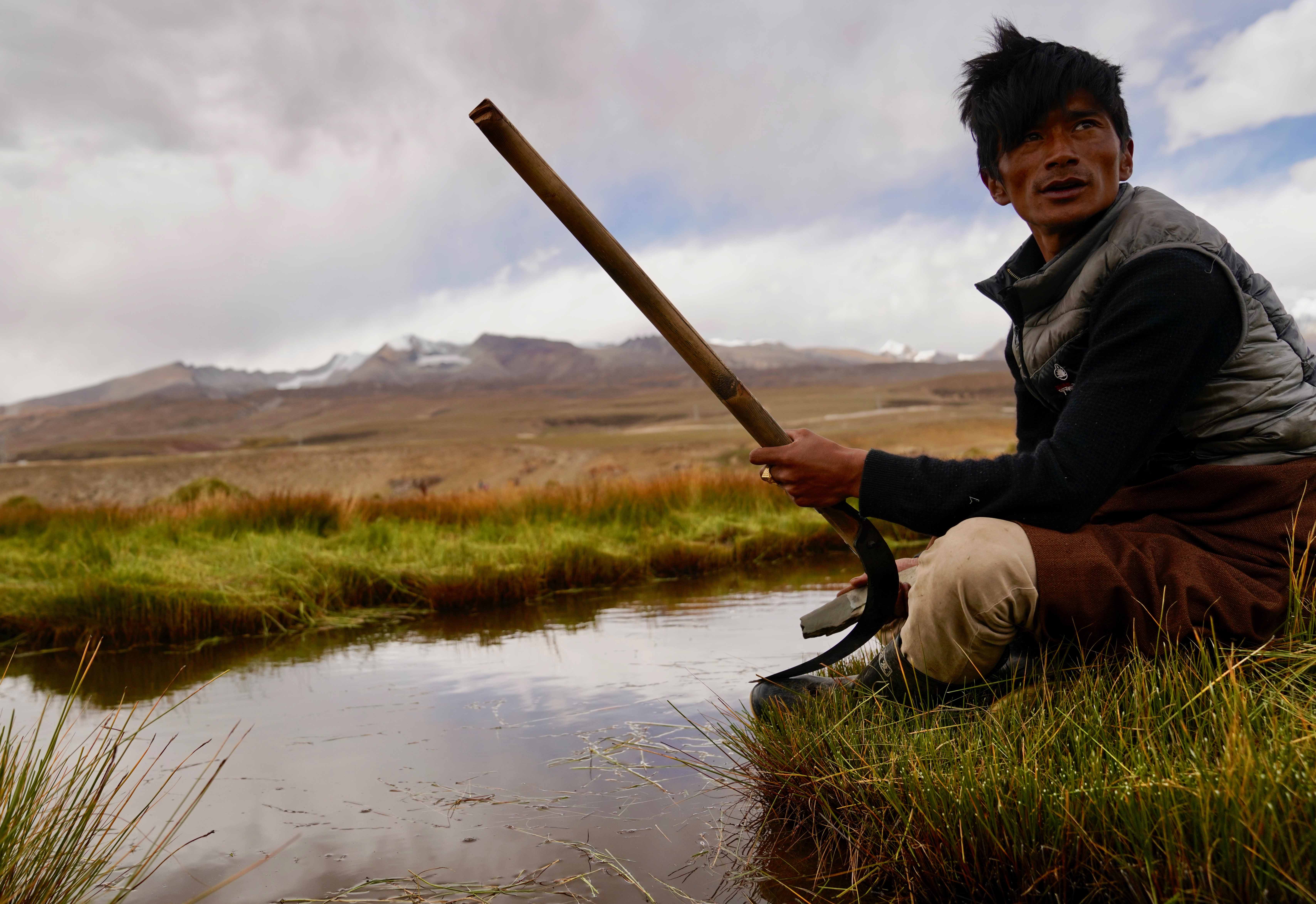 藏北牧民割草忙
