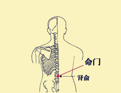 阳虚不用怕,补肾壮阳穴位用起来