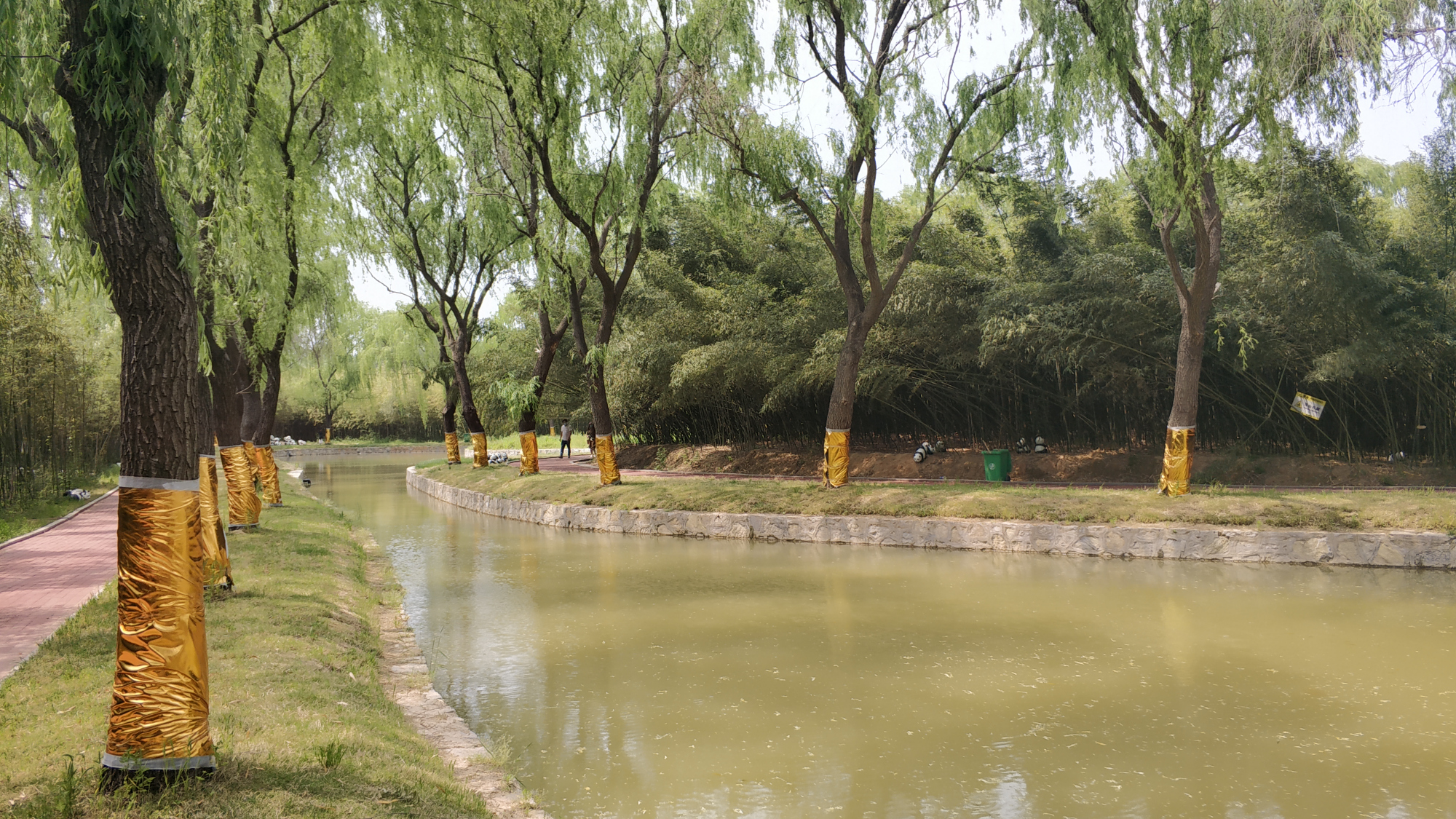 商丘森林公园里这个景点,游客体验不好,网友:名不副实,面积小