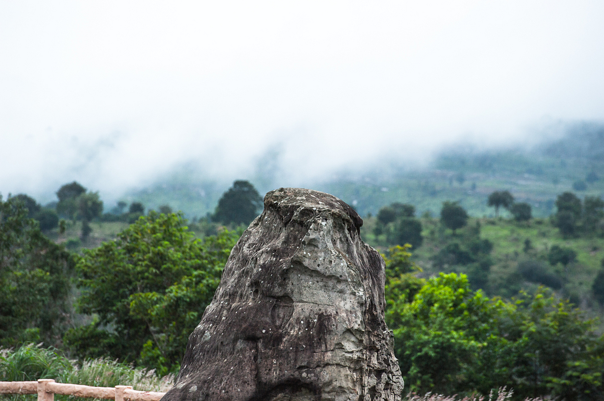 广东封开龙山风景区,一个被誉为"广东小桂林"的神奇之地,集自然美景