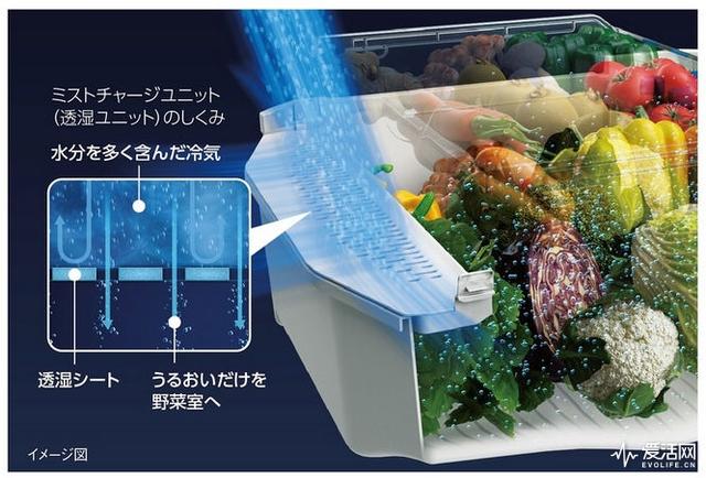 夏日蔬果更保鲜 东芝vegeta系列冰箱新品c位出道