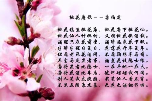 唐伯虎简介 桃花庵图片