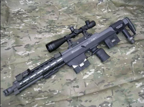 dsr-1狙击步枪系统是一把并非由猎用步枪或标准军用步枪修改而成的
