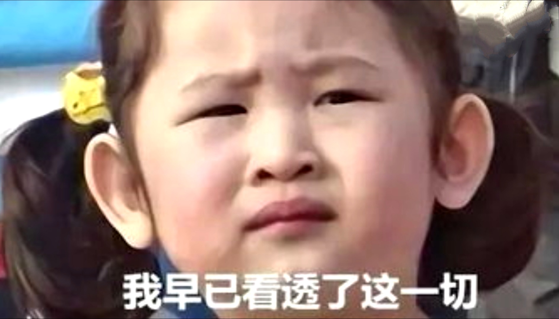 表情包都长大有孩子了,你怎么还单着,金馆长的遭遇让人笑岔气!