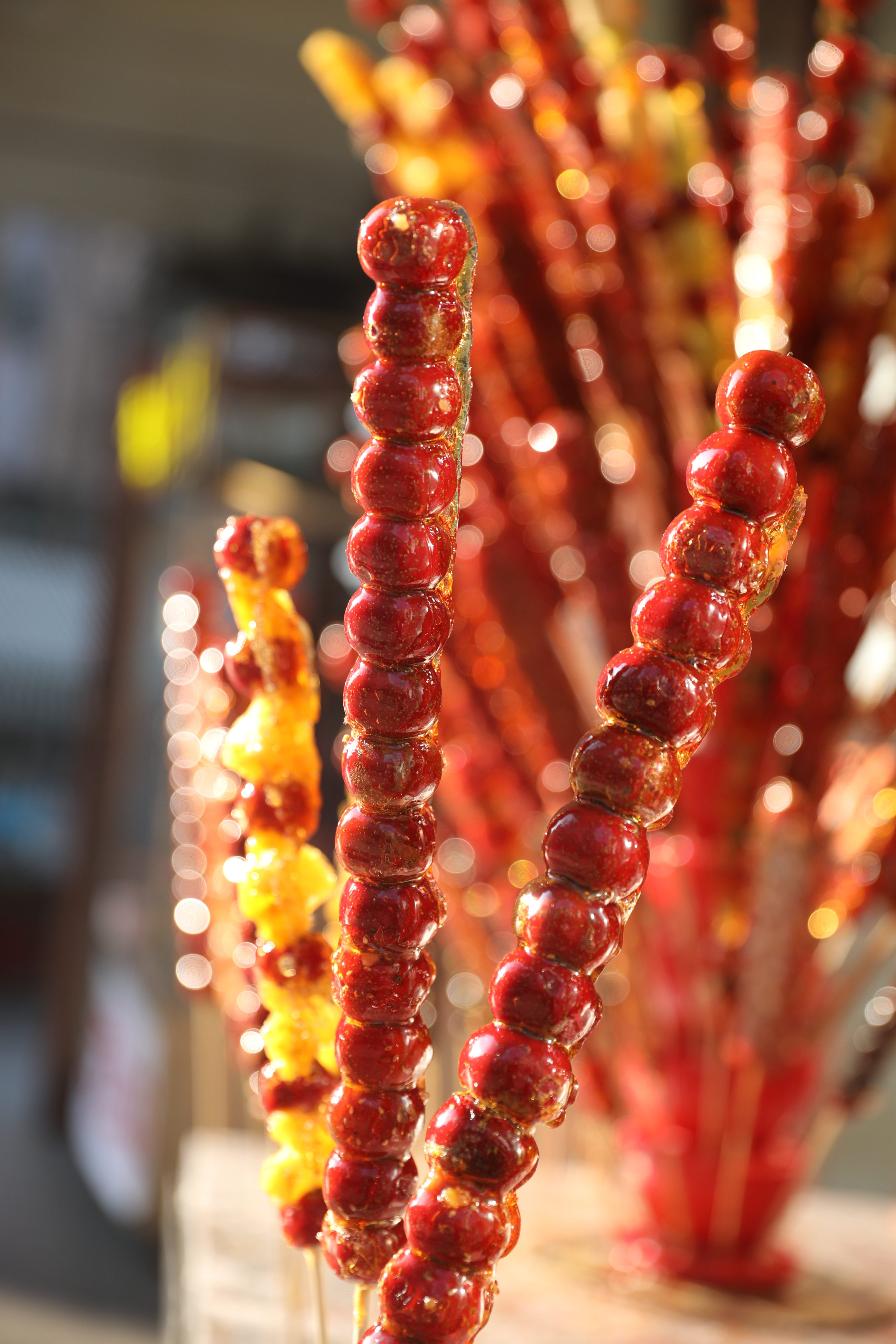 飘雪的日子,哈尔滨的冰糖葫芦等你来
