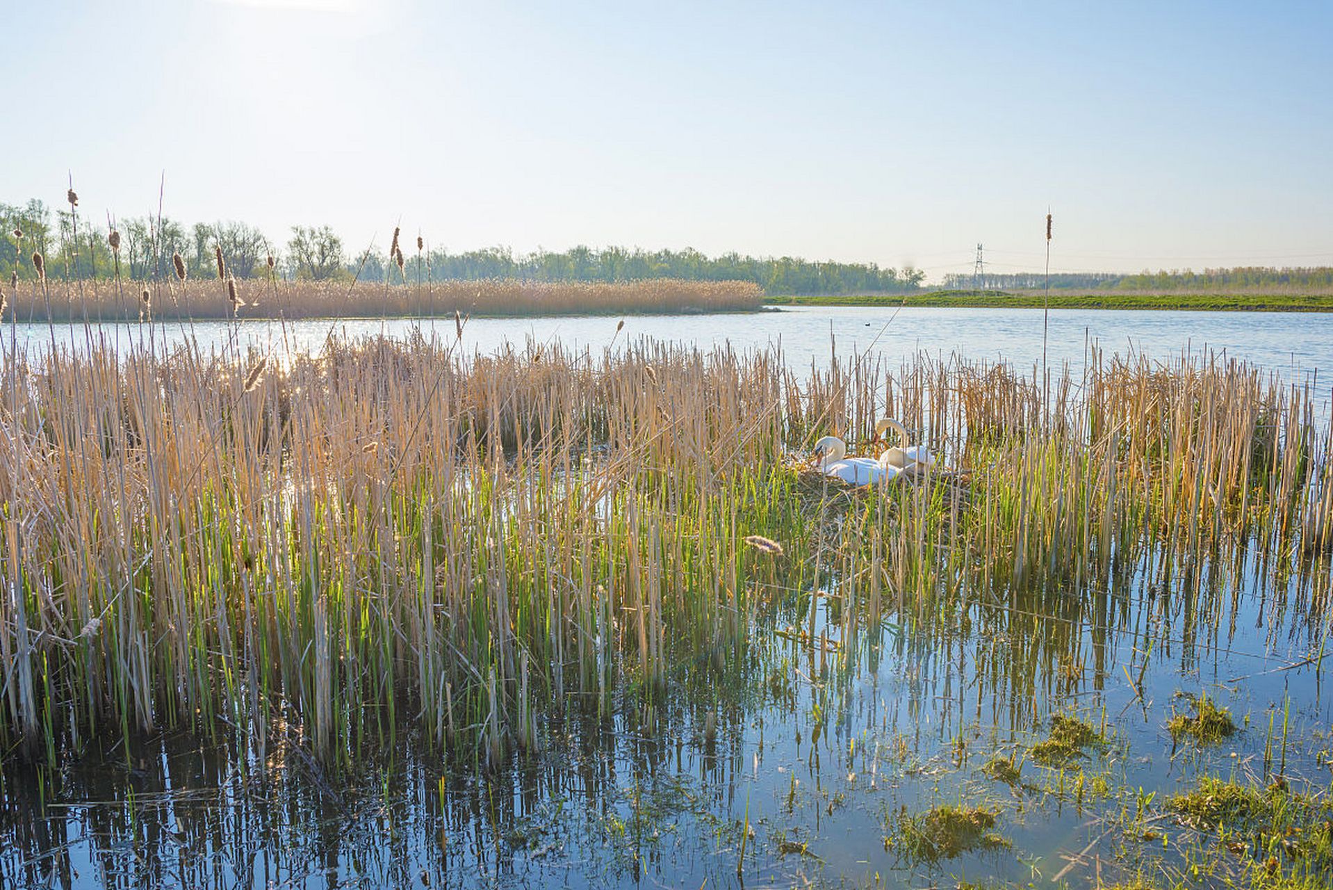 9890河北曹妃甸湿地公园,一个隐藏在北方的"海滨仙境"!