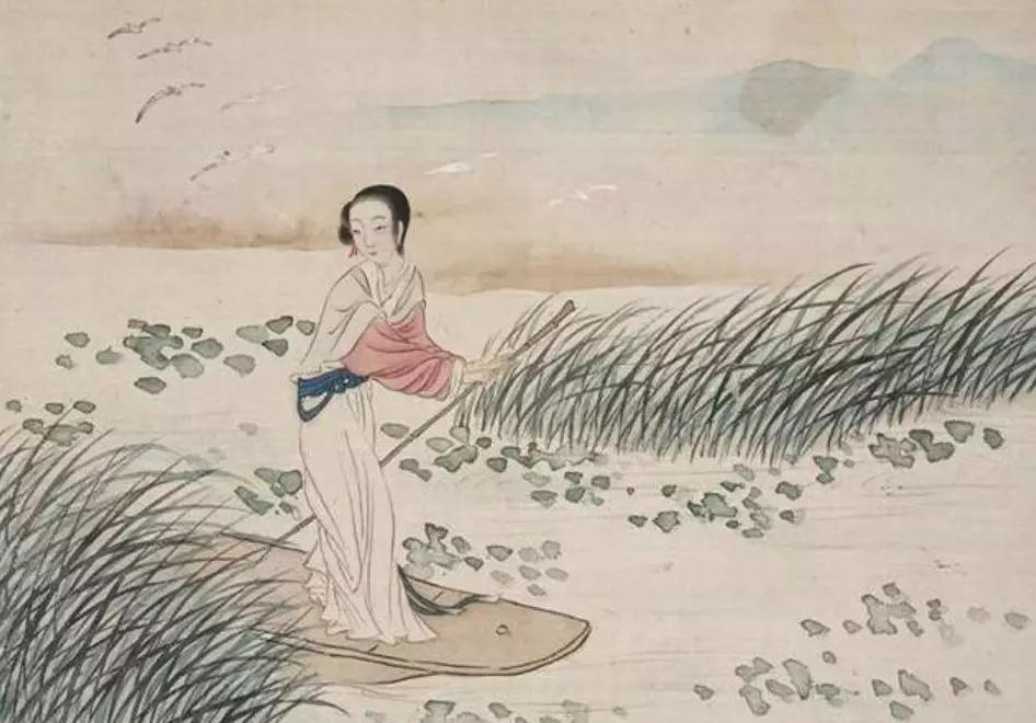 《诗经·汾沮洳》:男子的美像花一样