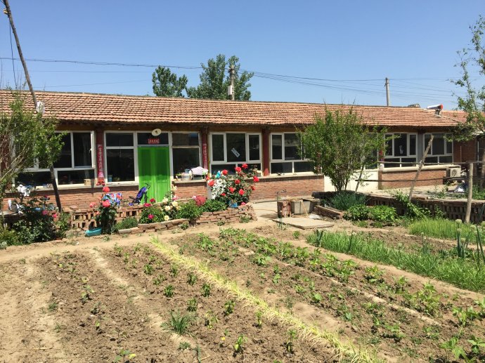 农村的大院子都种菜了,韭菜,黄瓜啥都有,让城里人羡慕