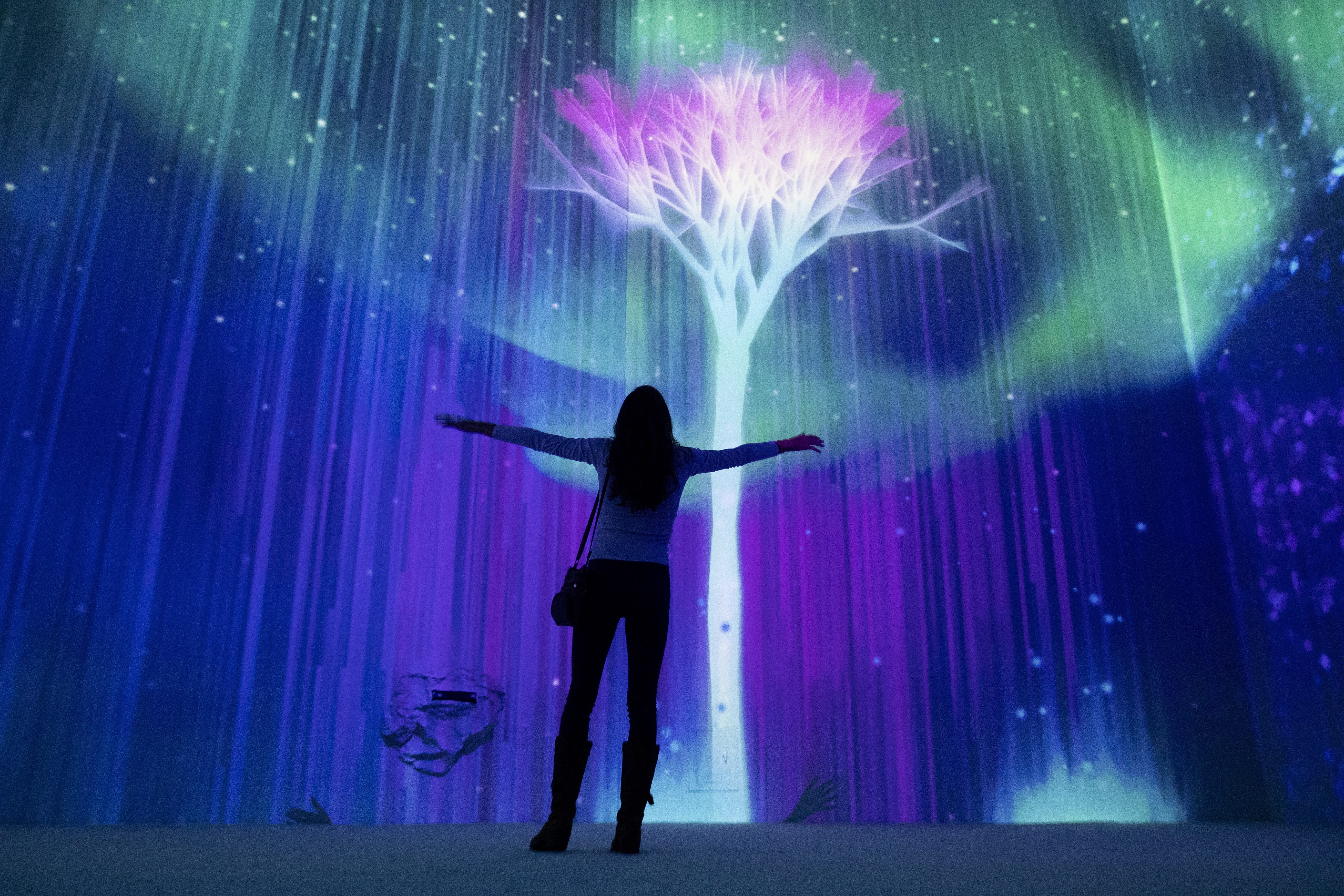 华盛顿互动灯光秀(1)