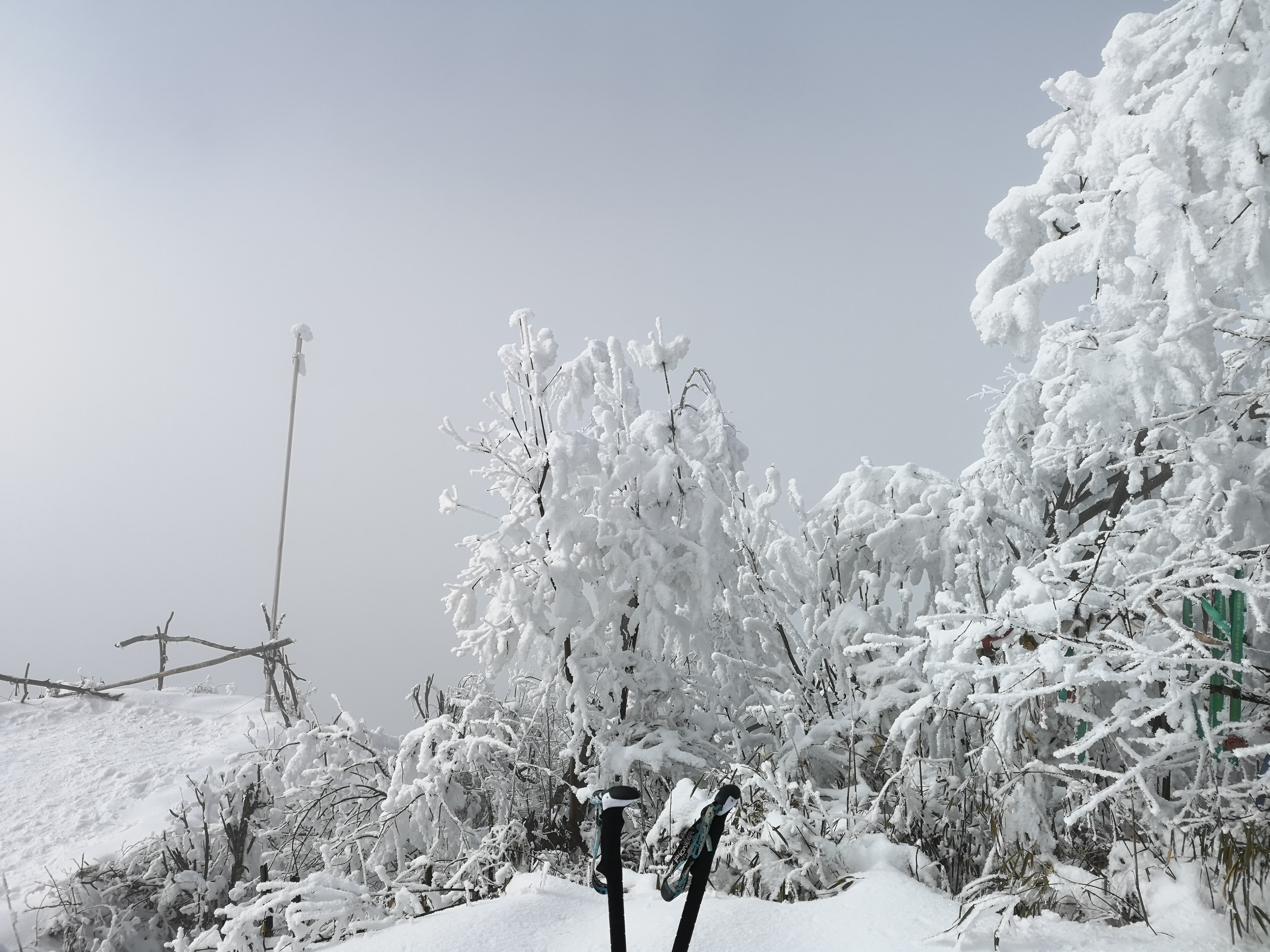 赵公山雪景图片图片