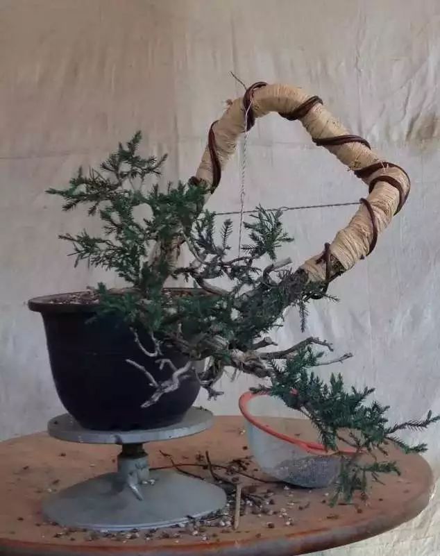几种尺寸和类型的拿弯,关键的方法和手法