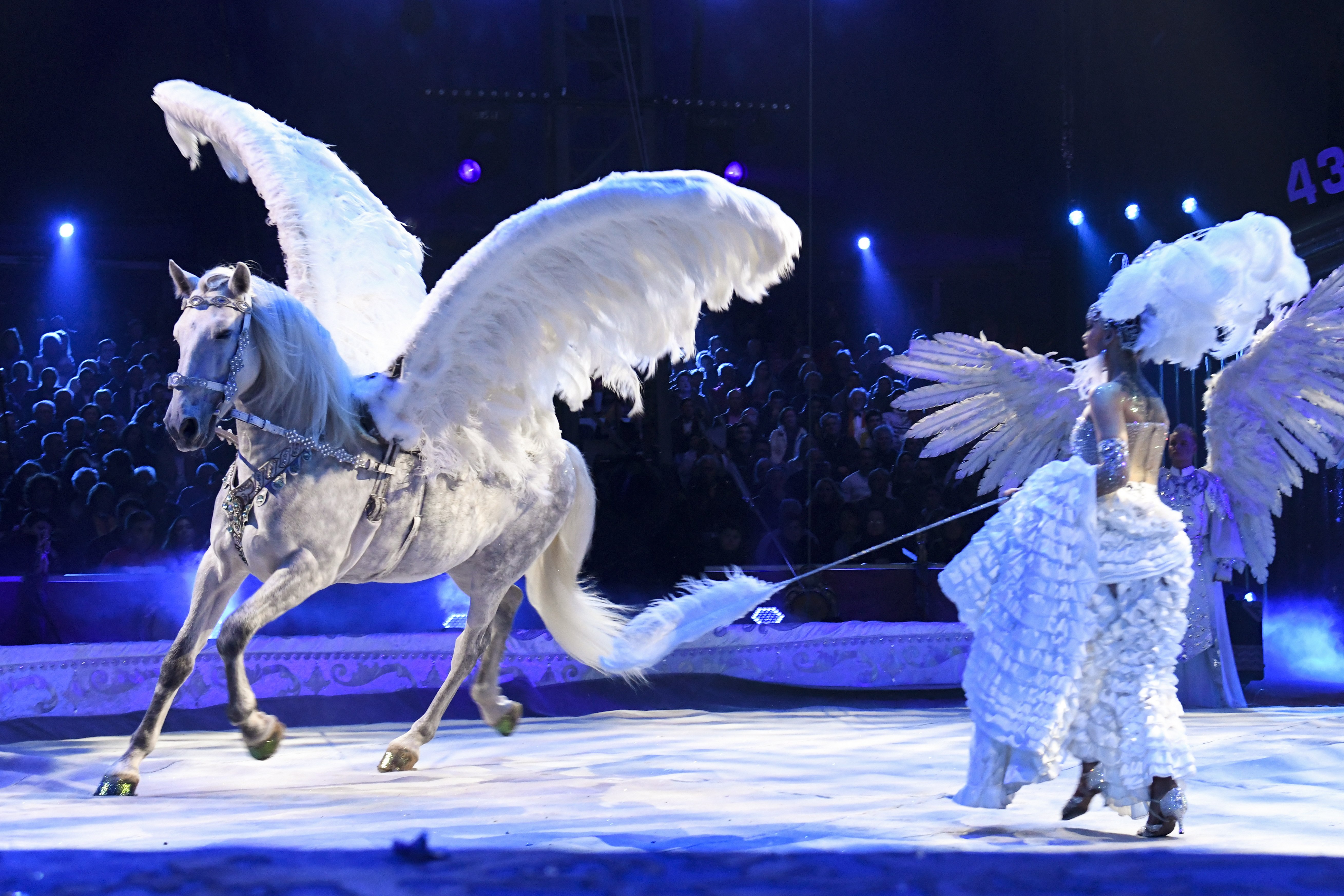 第43届蒙特卡洛国际马戏节