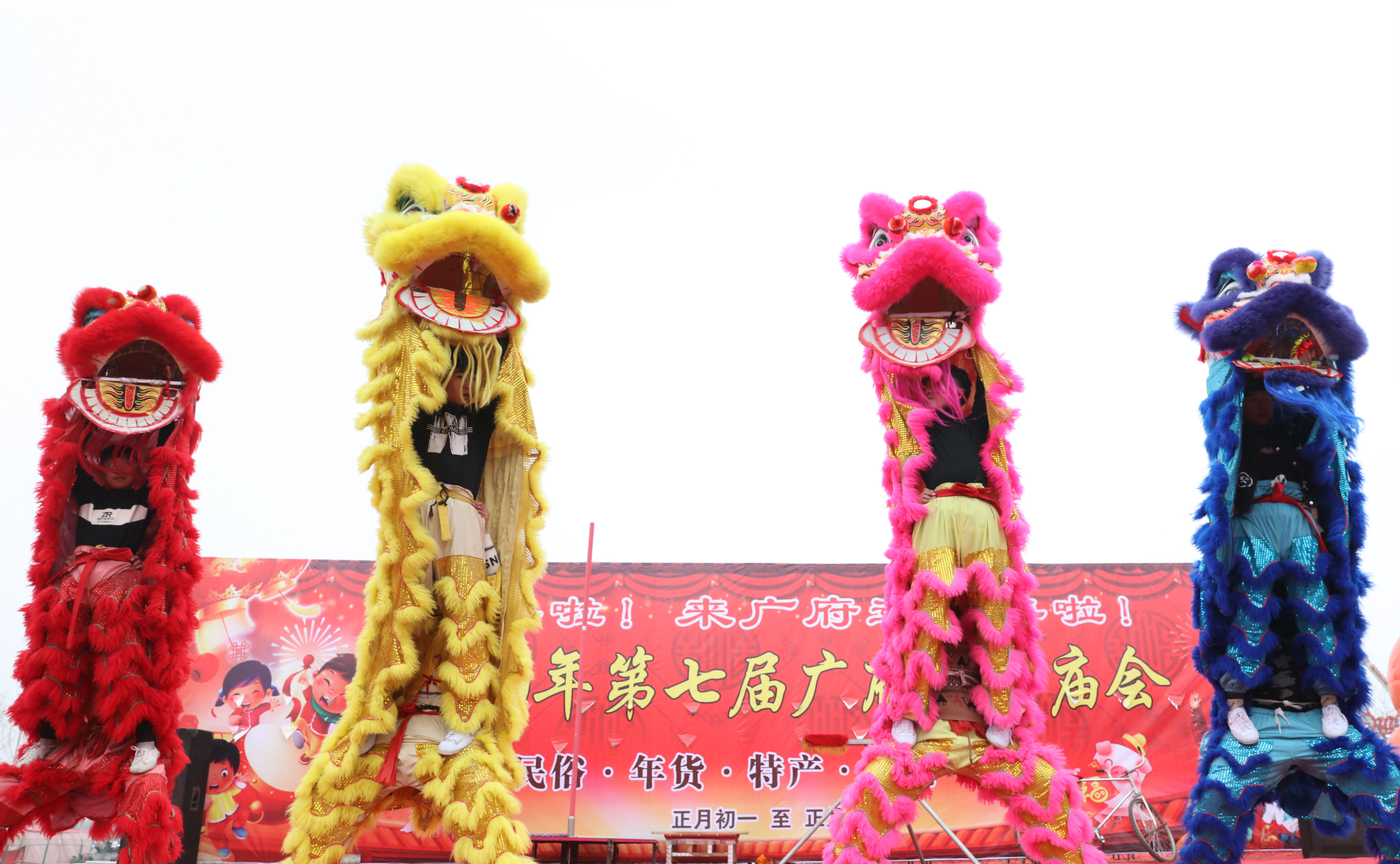 河北邯郸:舞龙舞狮闹新春