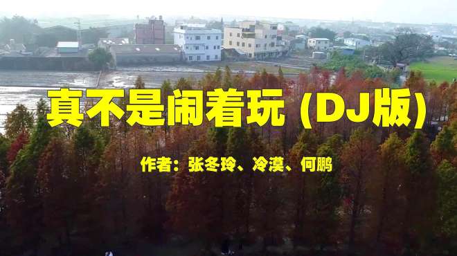 [图]一首DJ版《真不是闹着玩》，魅力无限，歌声深入人心