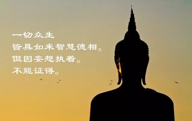 佛教智慧图片图片