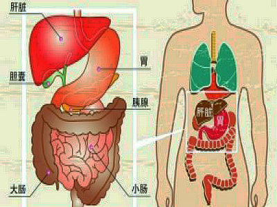 区分胰腺炎与胃病