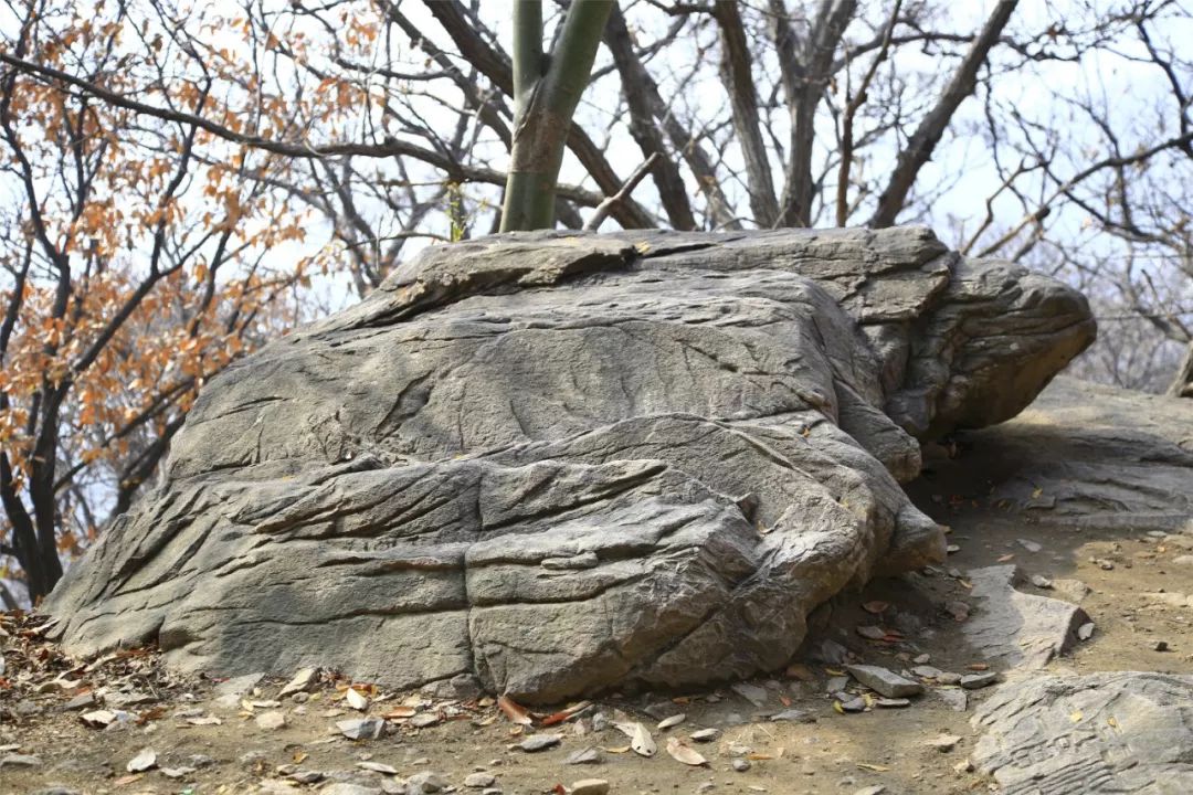沐浴着春风春光,让我们一起走进国家级地质公园-花果山的怪石园