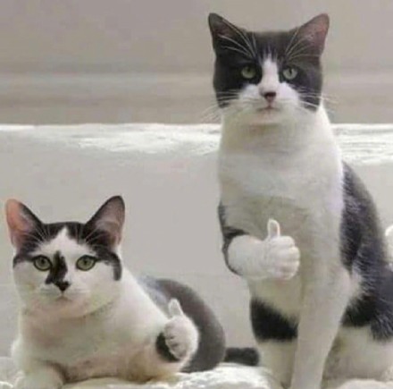 微信新功能,不用抢票,让你3秒坐上动车回家!