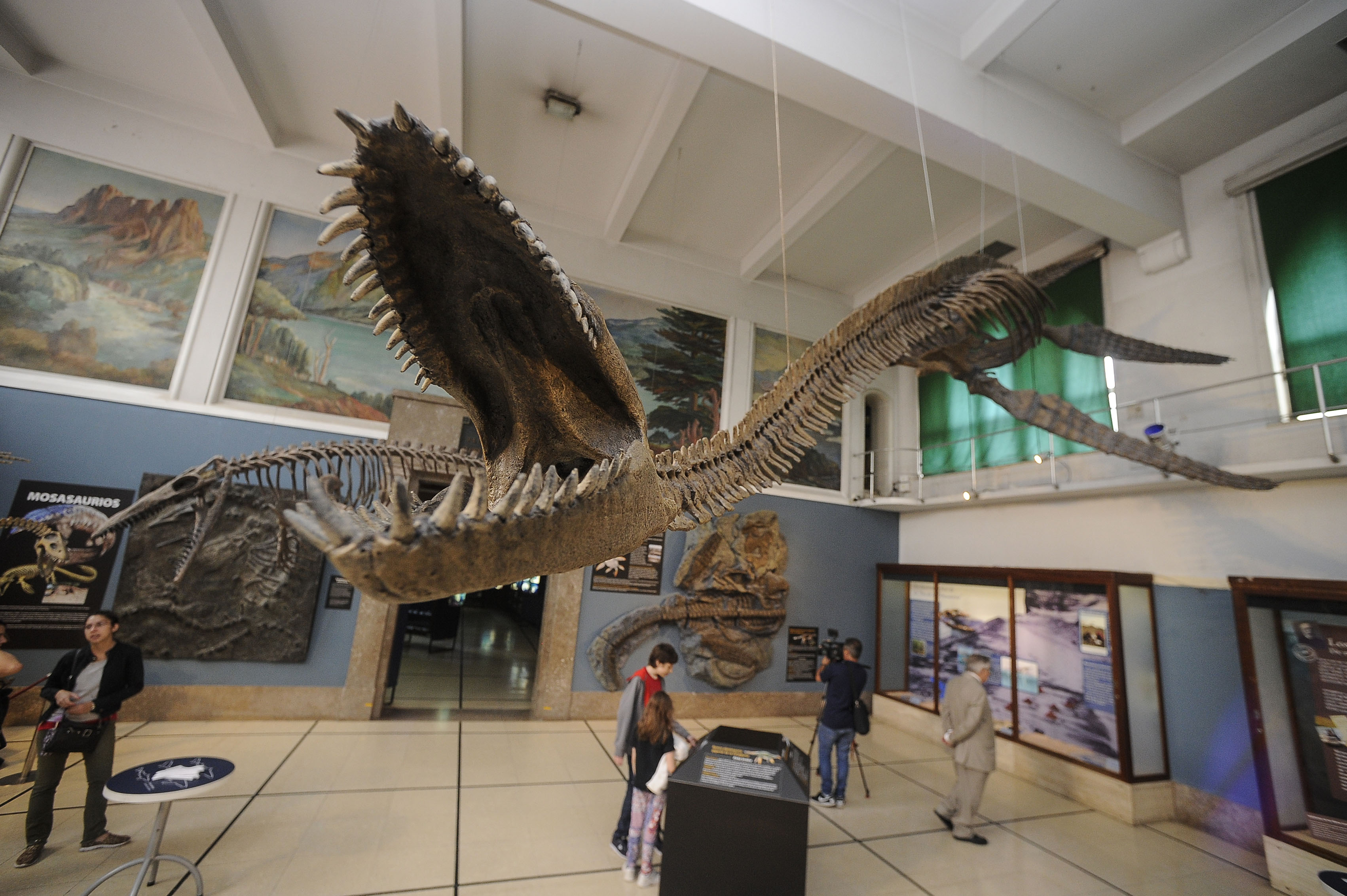 阿根廷修复罕见的蛇颈龙骨架化石