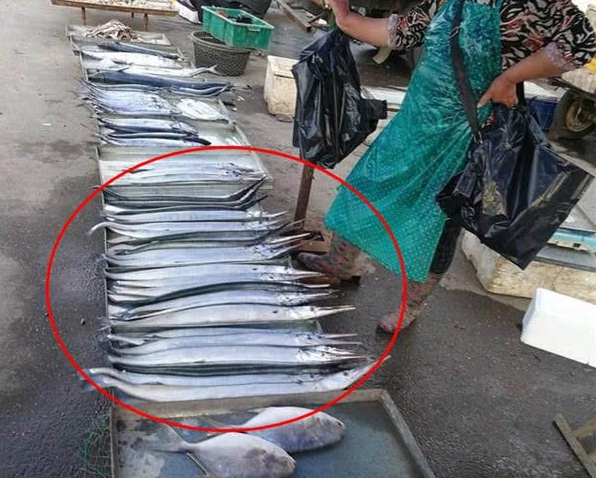 38元买的海鱼,肉很鲜美,鱼骨却是绿色的,网友:正常,放心吃吧