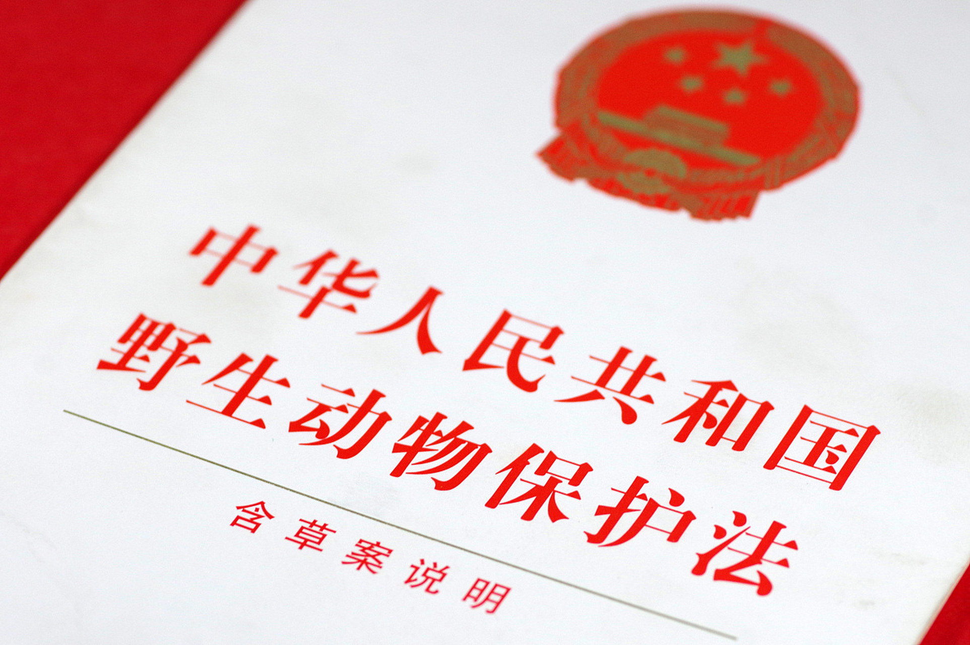 最近在查阅新修订的《野生动物保护法》后,发现一个有趣的立法变化.