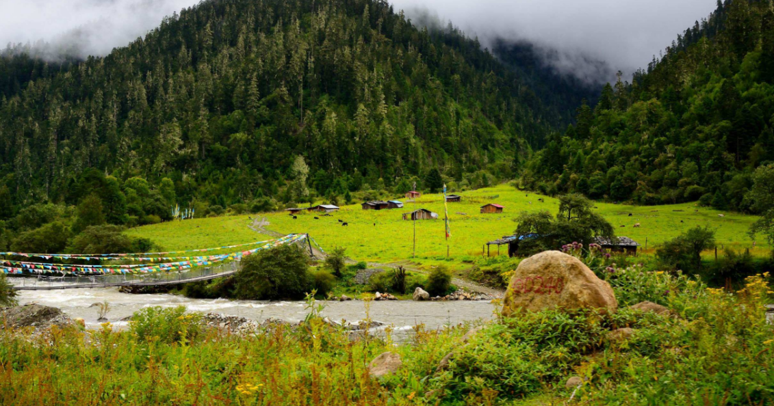 波密森林强大,山高谷深,一个旅游好景区