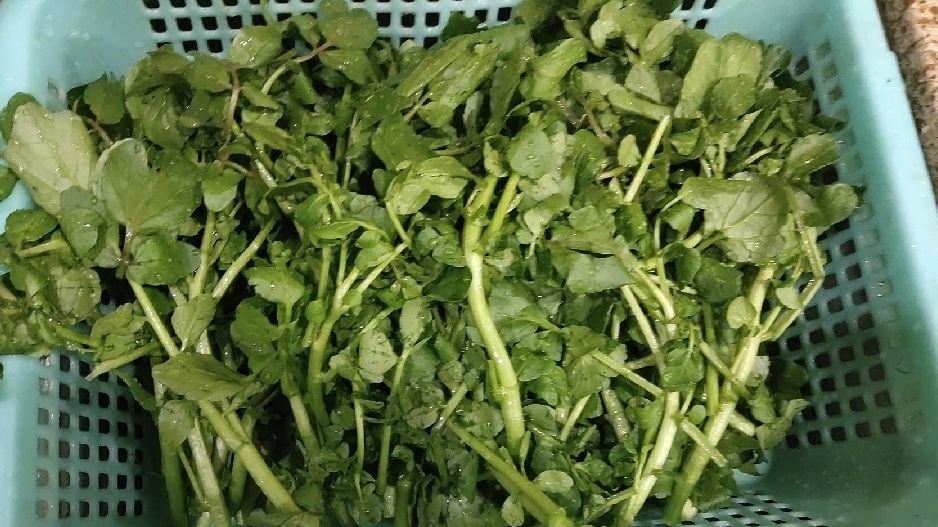 西洋菜别再去煮汤,酒店大厨教你这样做,清脆爽口好吃不变色