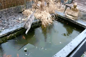 搞笑动图段子;是啊!甜的舍不得卖,不甜的才拿出来卖啊