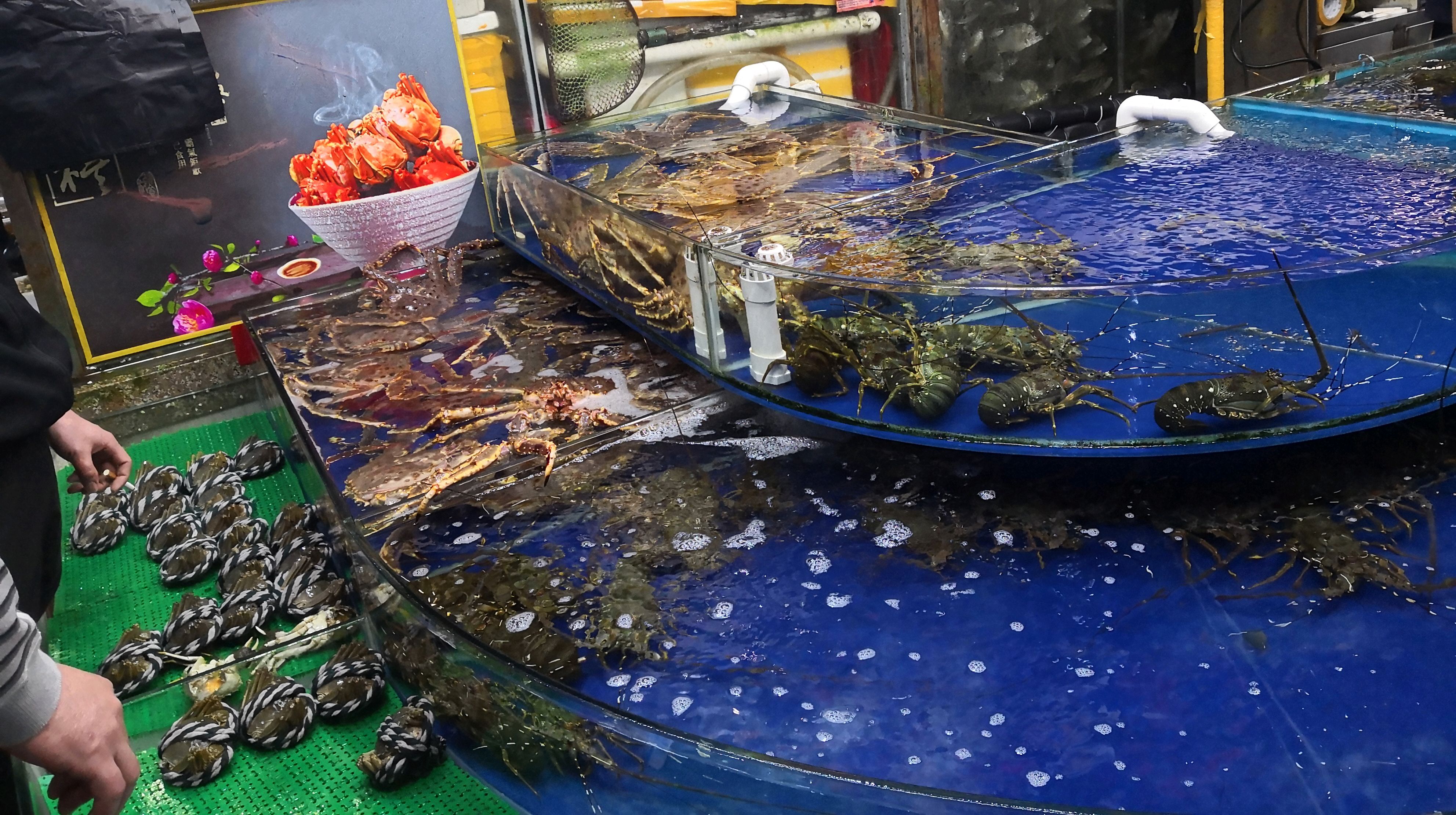 海鲜世界,什么鱼都有