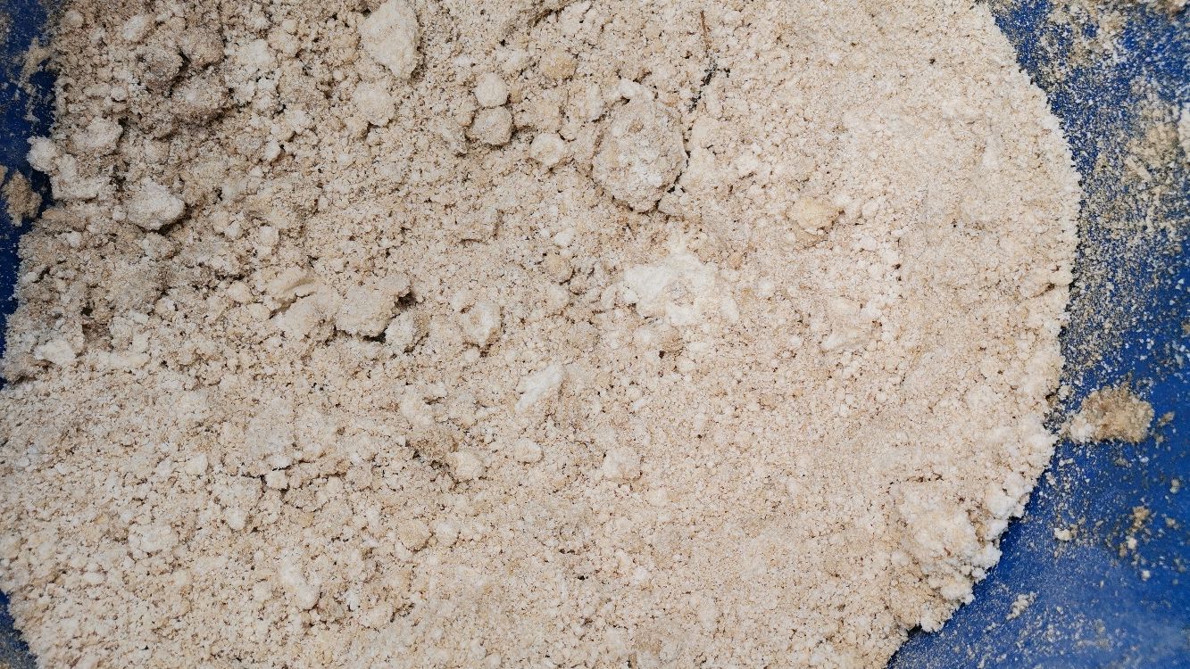 90后农村创业宝妈养殖灵芝中草药土鸡,新手养鸡一年