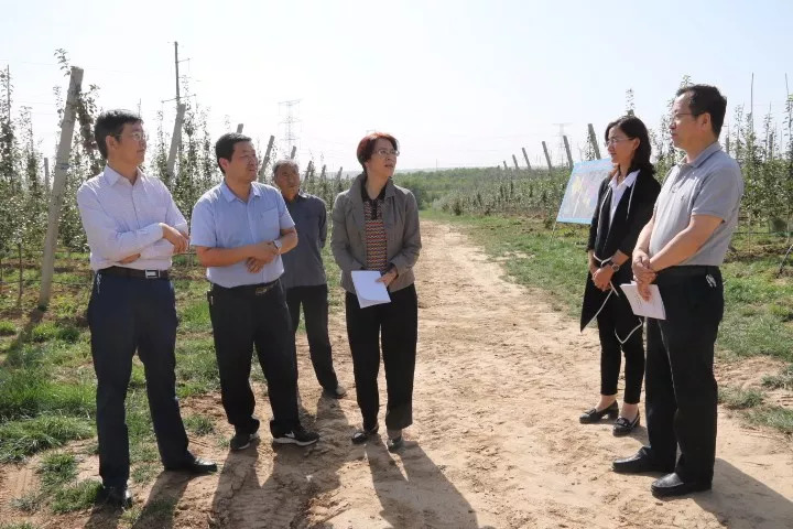 【要闻】马琨调研崇信县工作