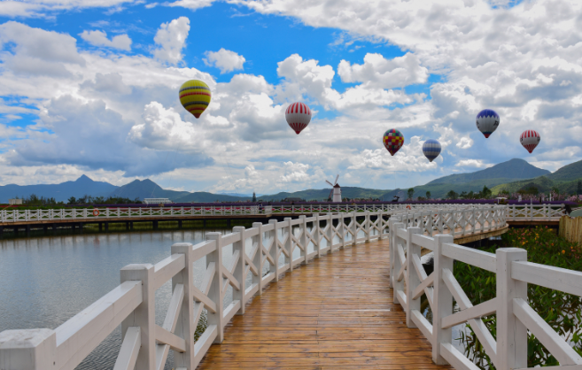 随着四季变幻,雪山花海乐园会根据不同花卉品种的花期,种上不一样的