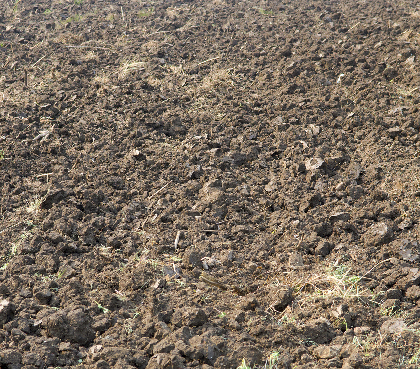 它可是土壤的"生命之源"啊.