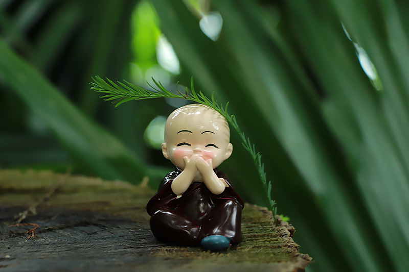 佛系小和尚和调皮小和尚 转载自百家号作者:野粟子