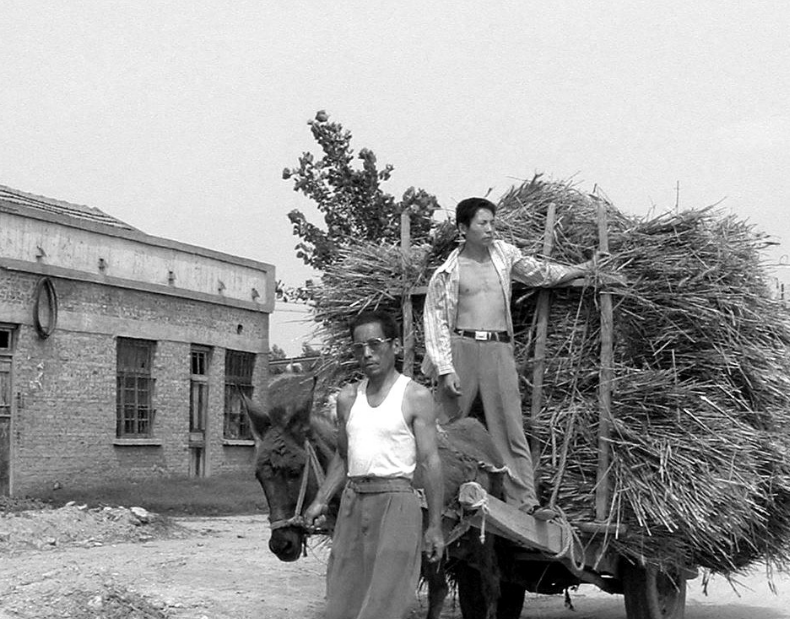 40年前,农村收麦老照片,满满的时代感,90,00后基本没见过