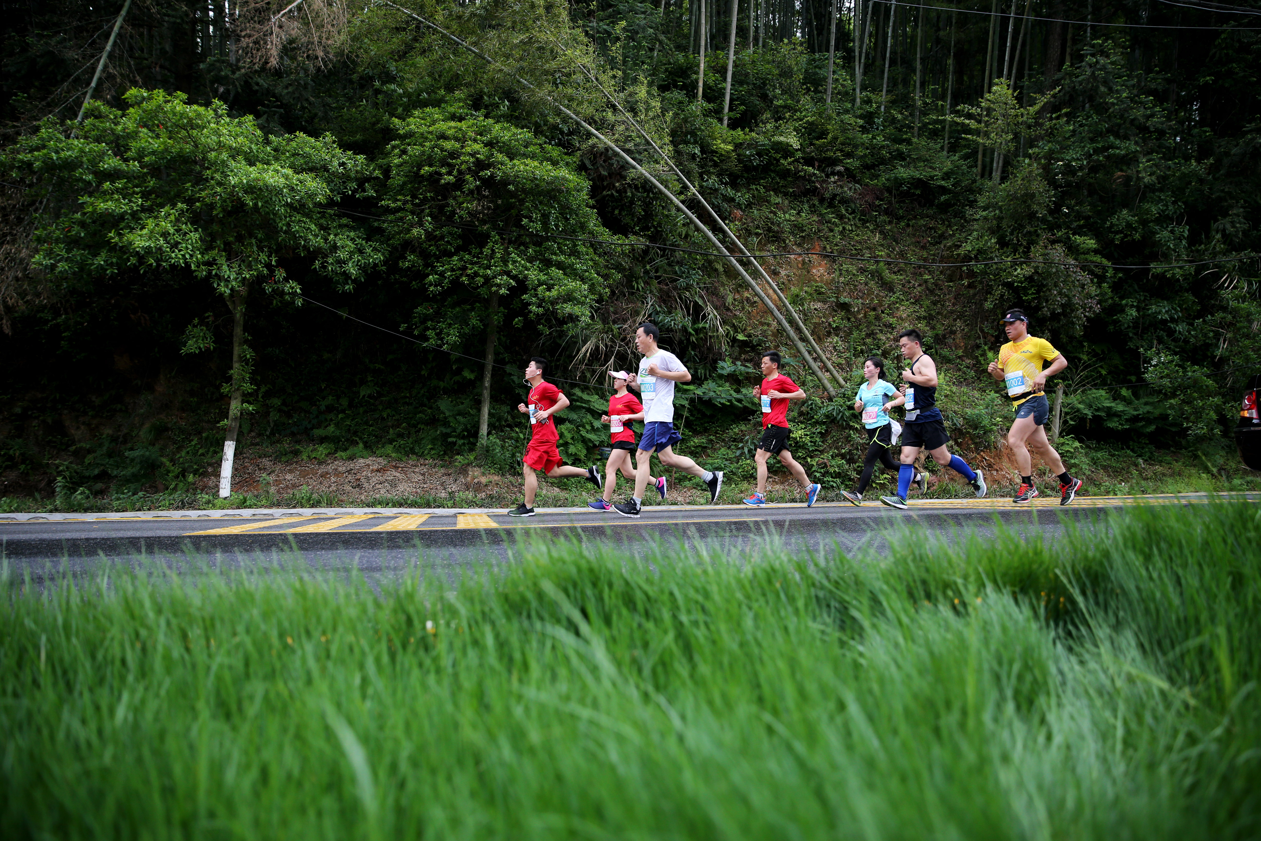 马拉松——梅岭国际半程山地马拉松赛开跑(2)
