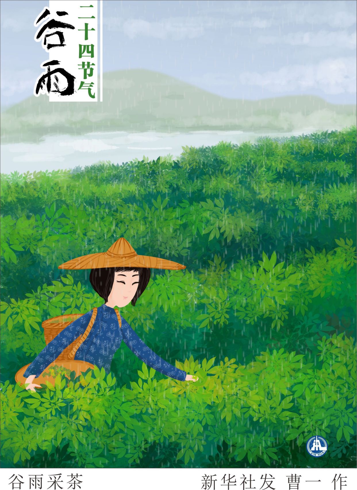 (图表·插画)「二十四节气·谷雨」谷雨采茶