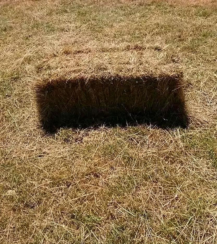 12张搞笑的错觉照片,换个角度看,才会明白是真实存在的